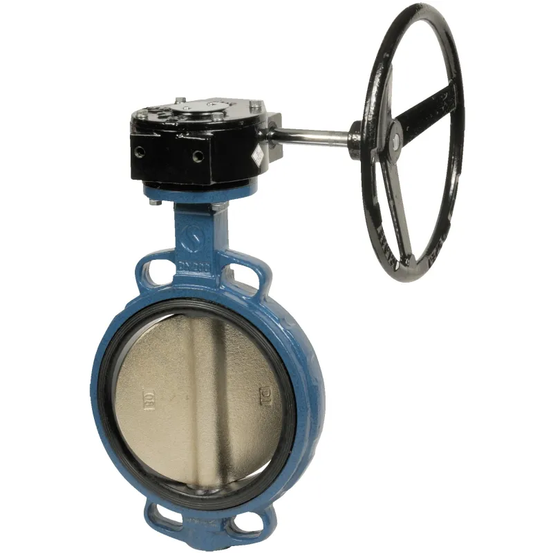 Vanne à papillon 1125 avec réducteur monté à oreilles lisses de centrage corps fonte GL avec papillon fonte et manchette EPDM