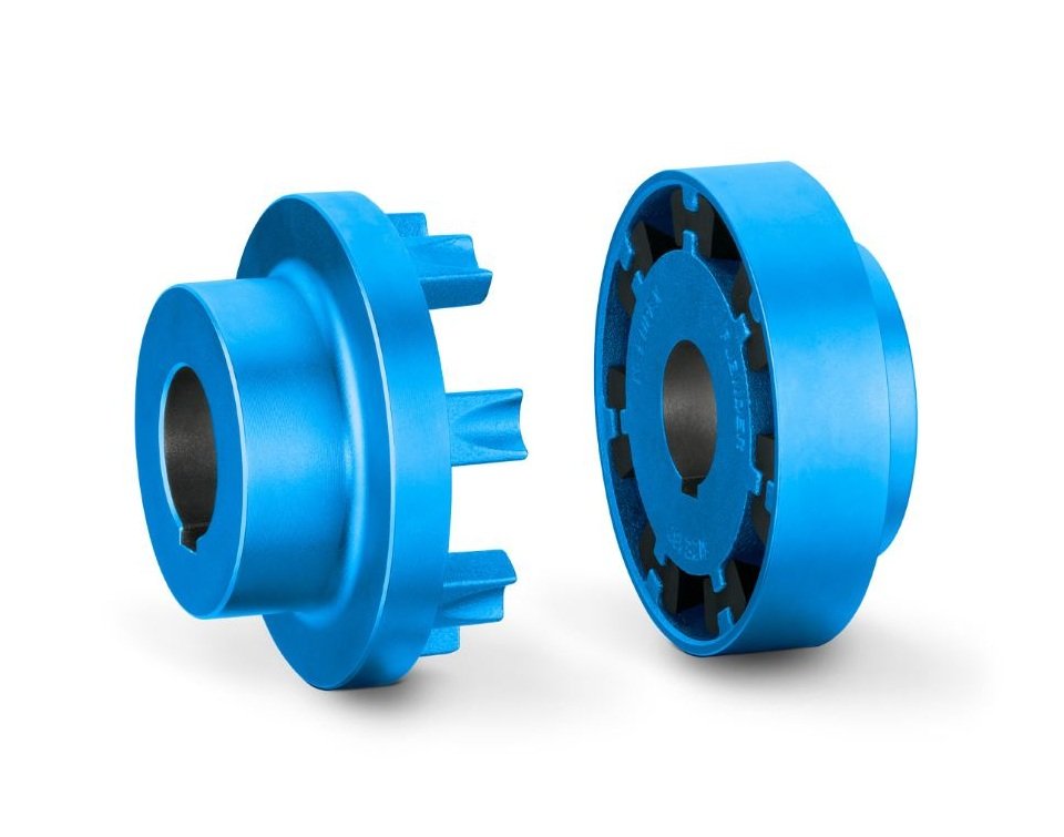 Accouplement à broches Flender N-EUPEX Type B – Taille 250