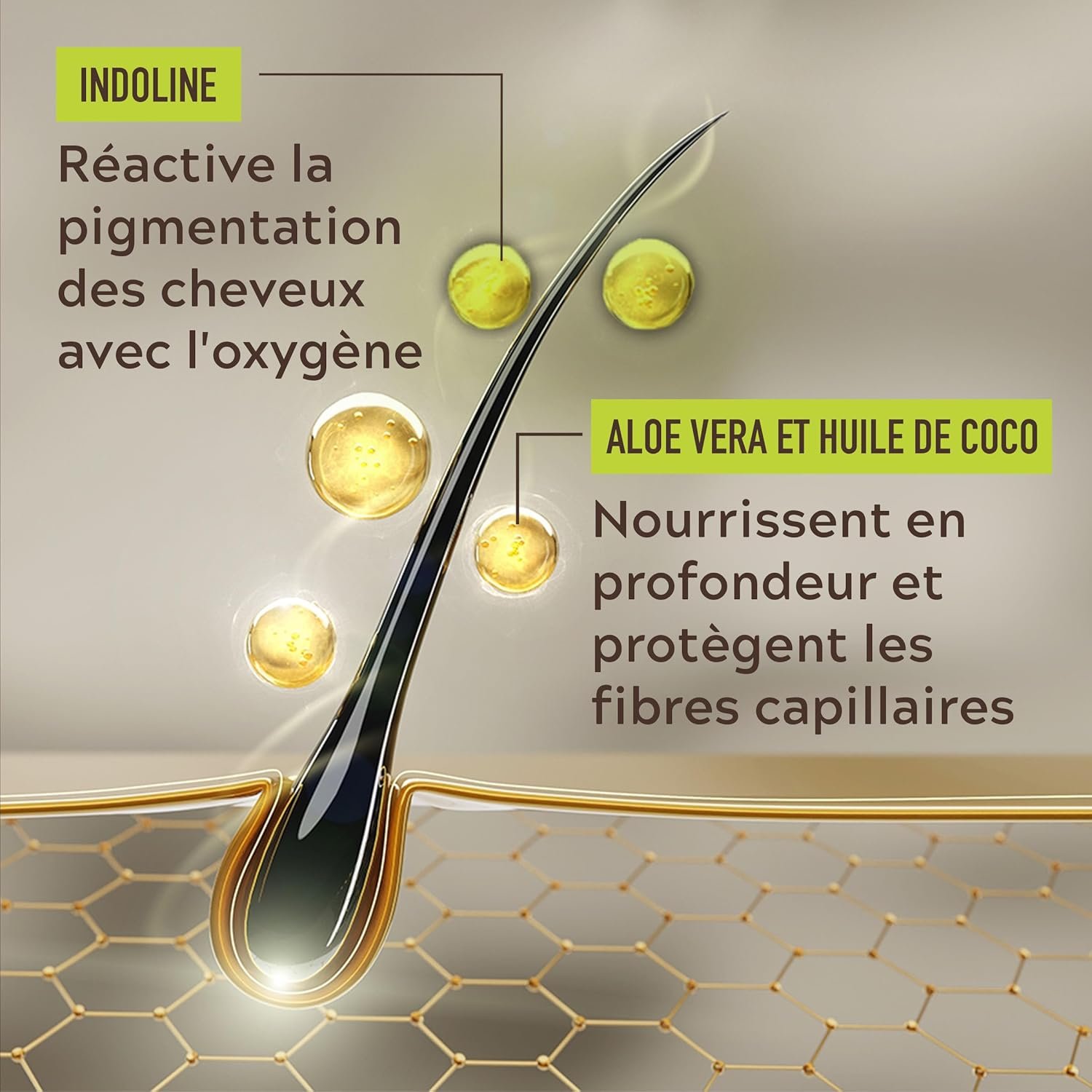 Galerie — image 2