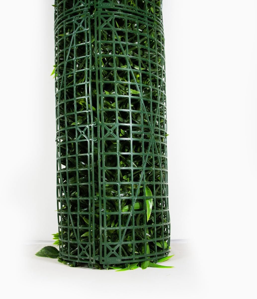 Galerie — image 3