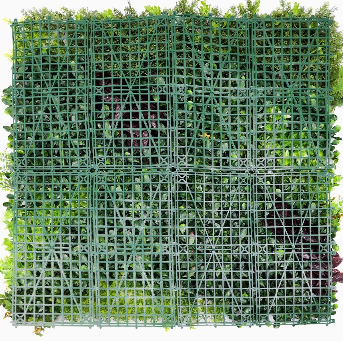 Galerie — image 1