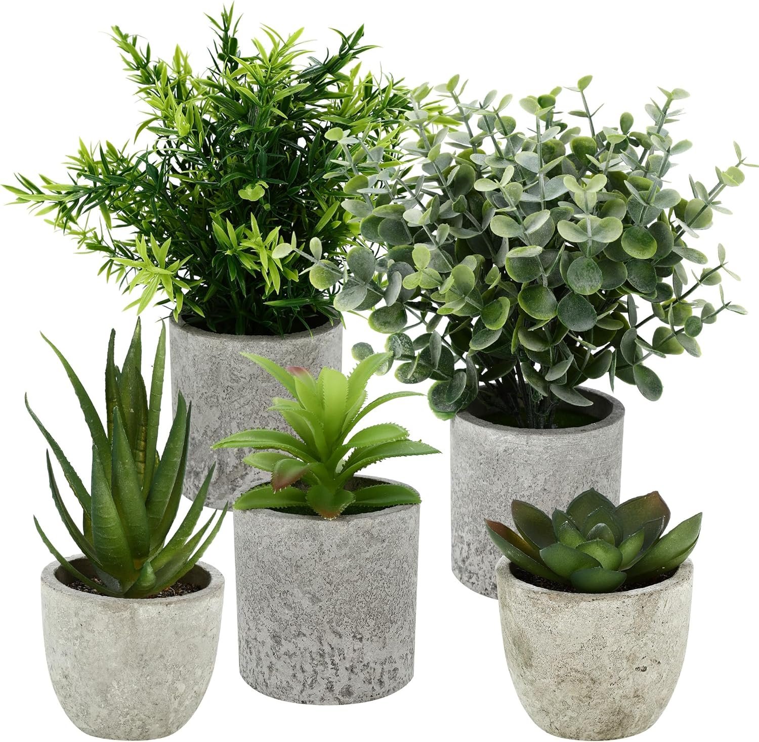 5 Pieces Plantes Artificielle, Mini Plantes artificielles Interieur Serpentine, Agave succulentes, Griffe d'aigle Aloe Vera