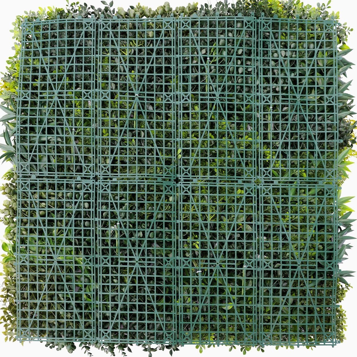 Galerie — image 2