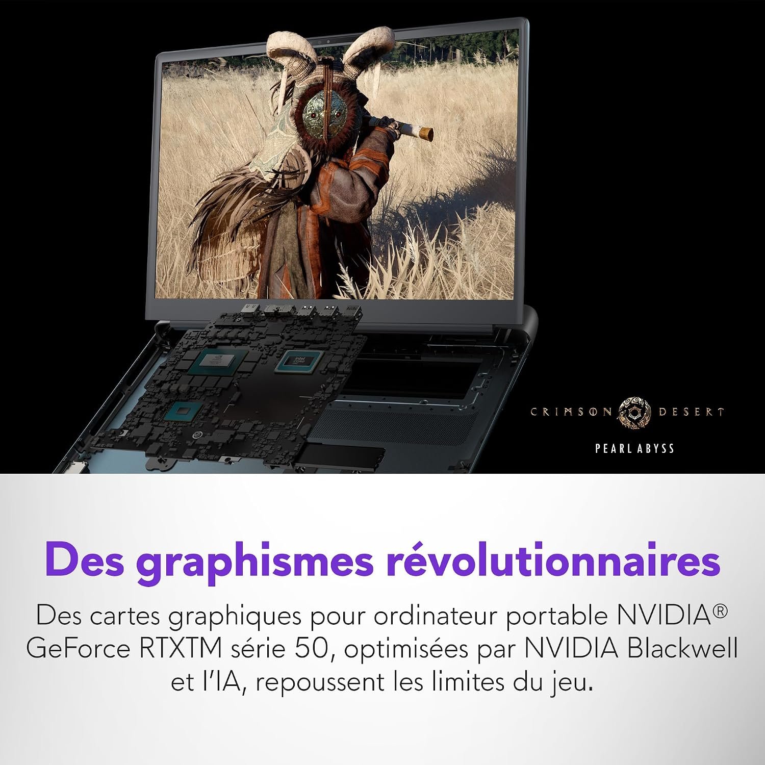 Galerie — image 8