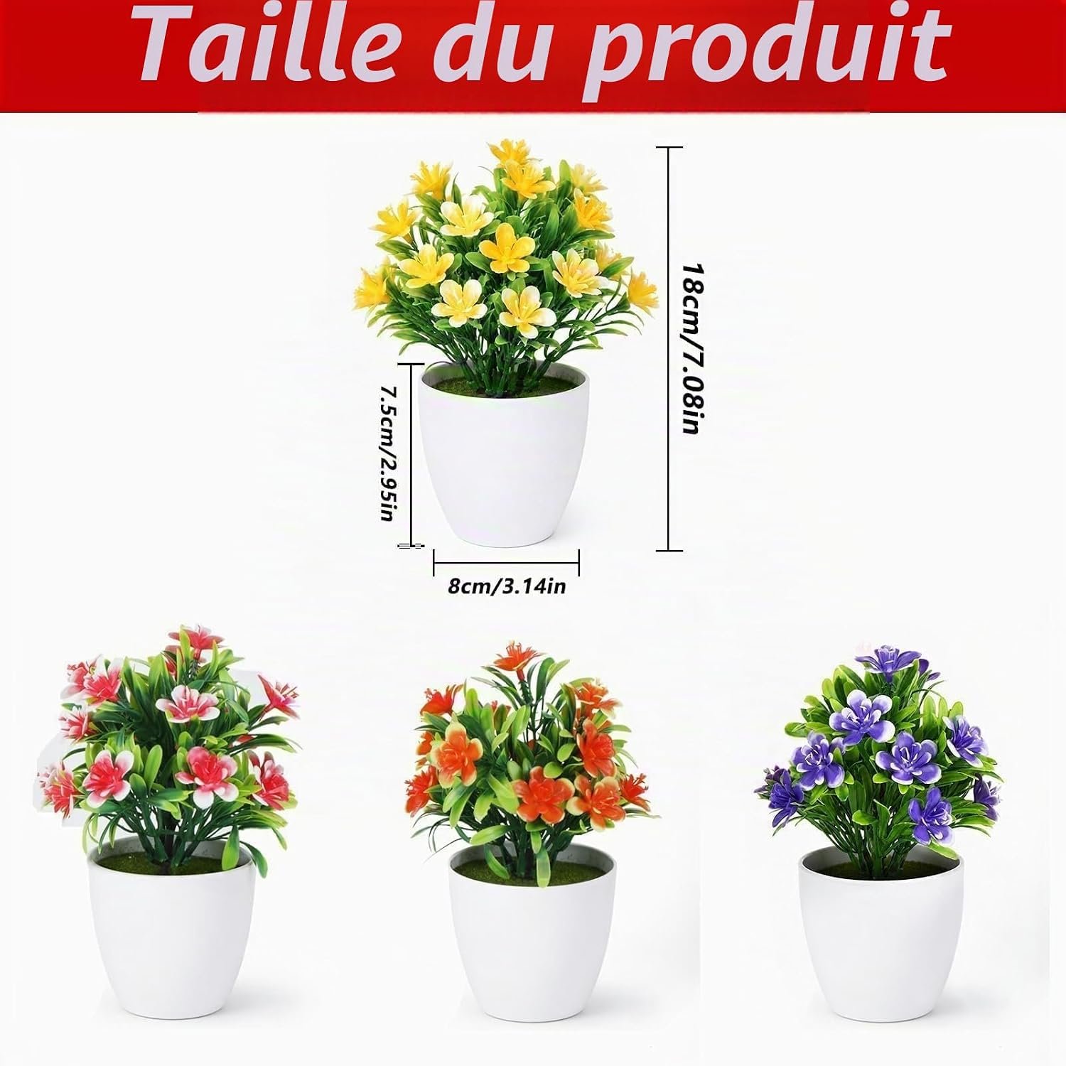 Galerie — image 4