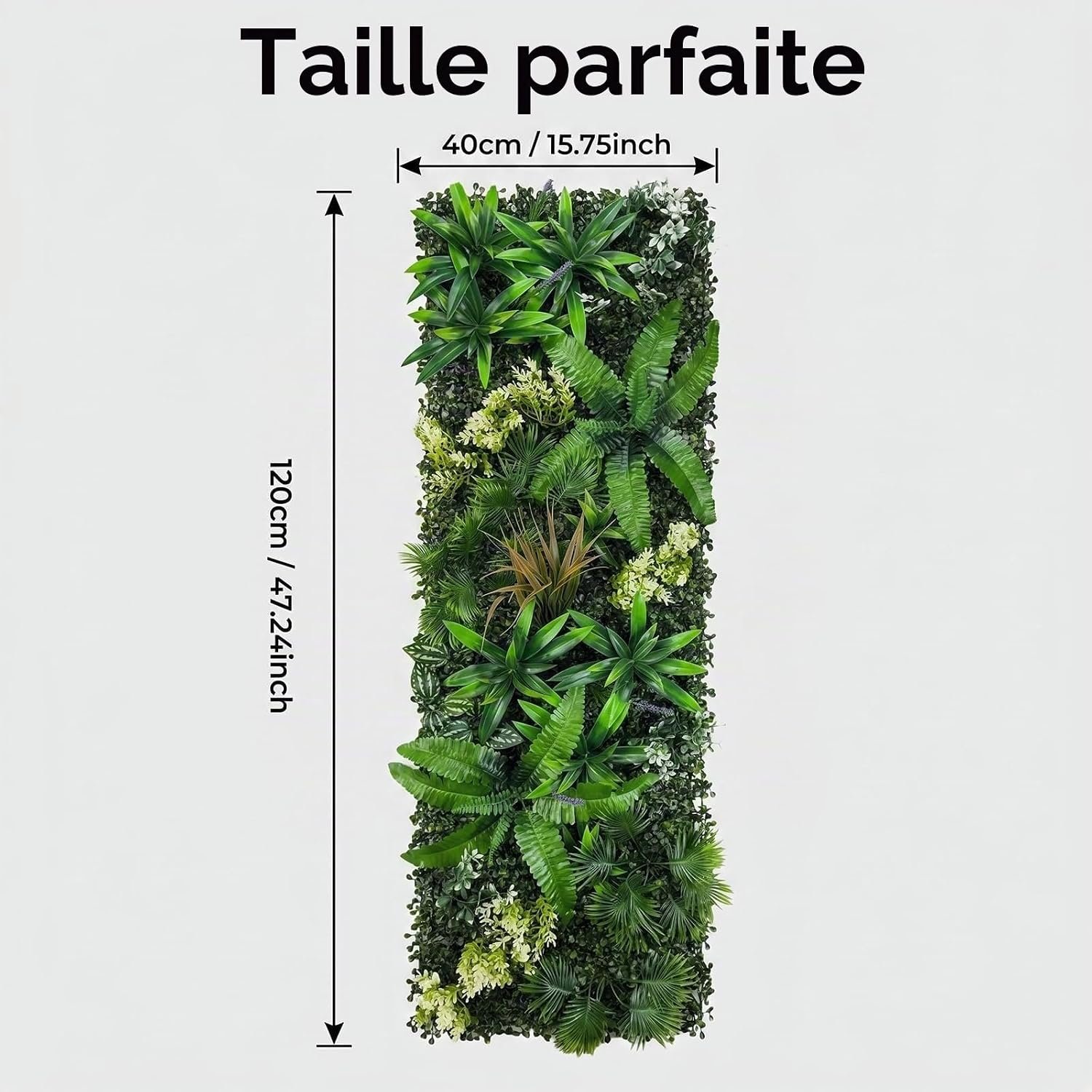 Galerie — image 1
