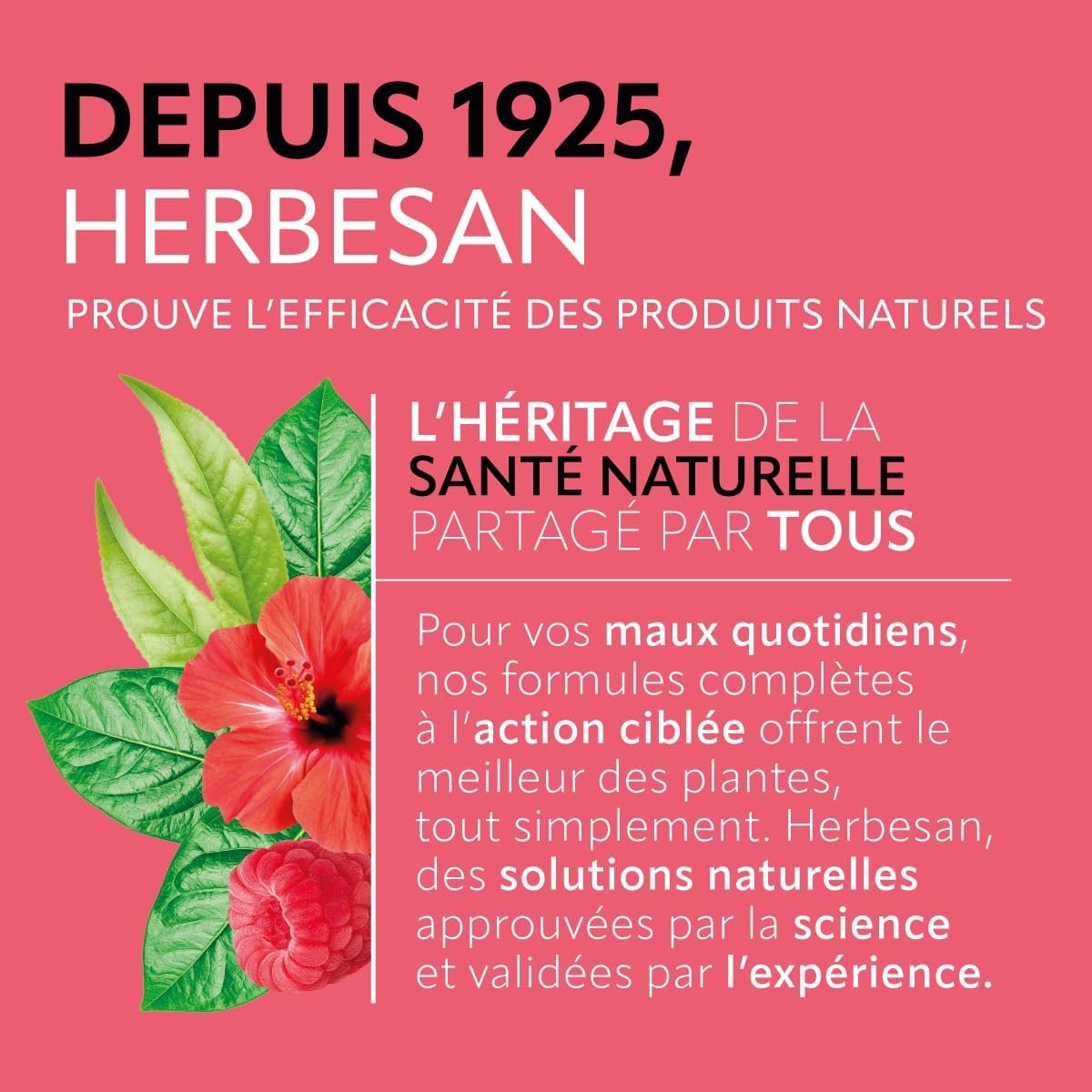 Galerie — image 1
