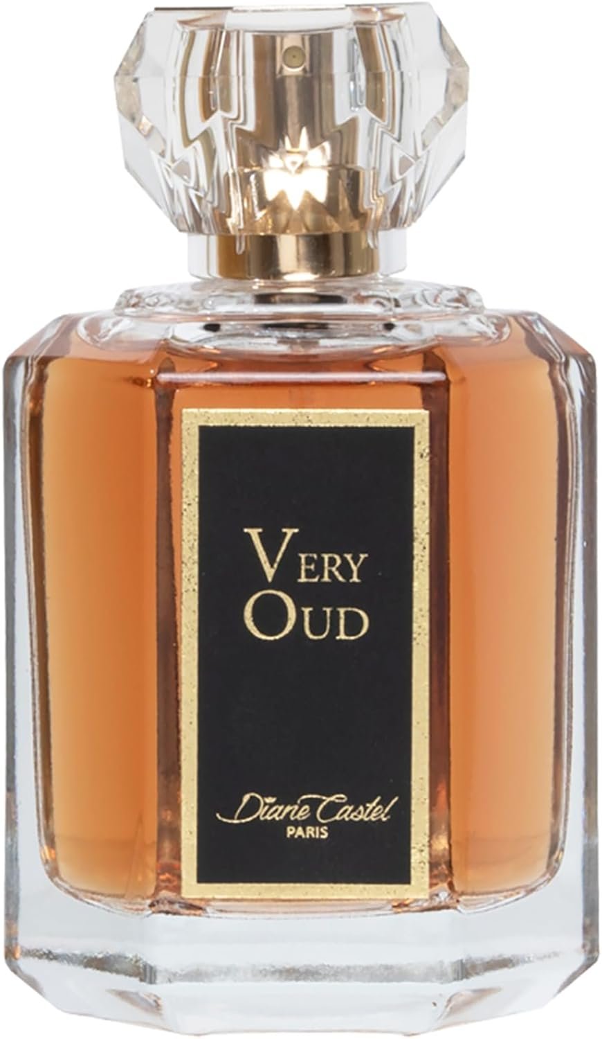 Eau de Parfum 100 ml by Diane Castel | Parfum Oriental Boisé & Intense | Flacon Luxe – Longue Tenue – Élégance Inoubliable