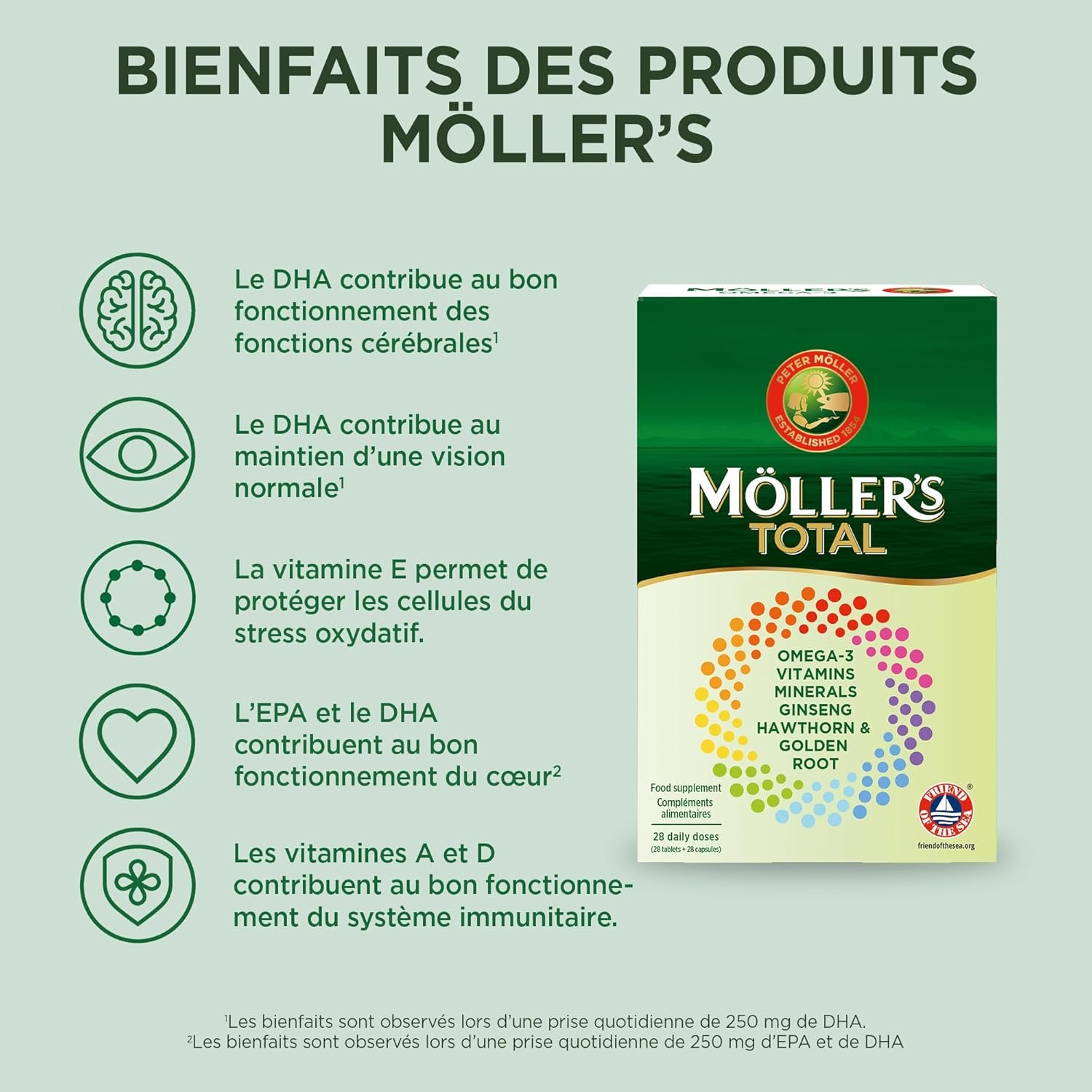 Galerie — image 4