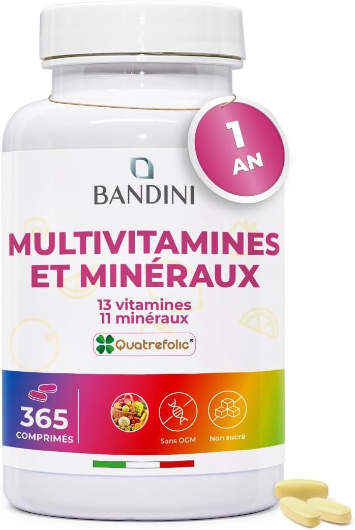 Multivitamines et Minéraux 365 Comprimés (1 An) - 24 Nutriments Essentiels dont Vitamines A B C D E K Calcium Magnesium Zinc Fer Iode Acide Folique Biotine - Immunité, Fatigue, Cheveux, Peau