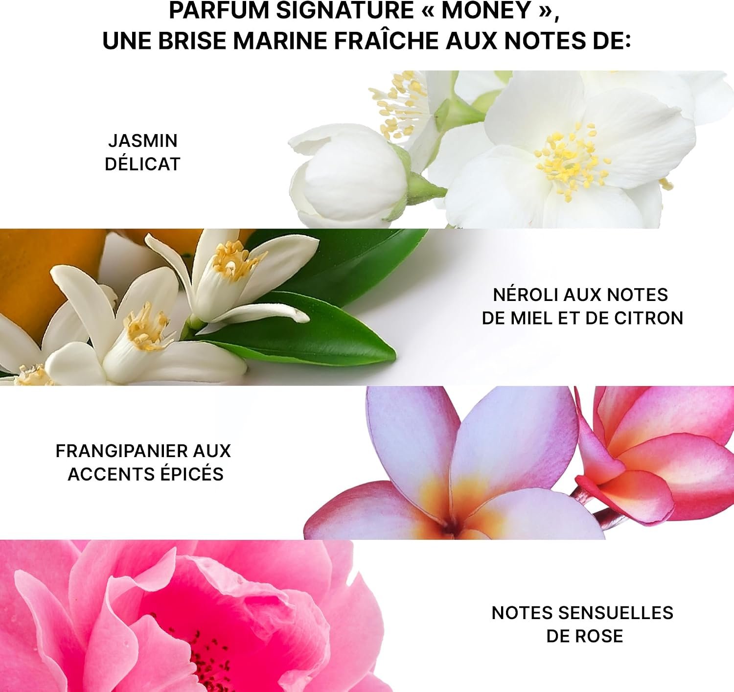 Galerie — image 9