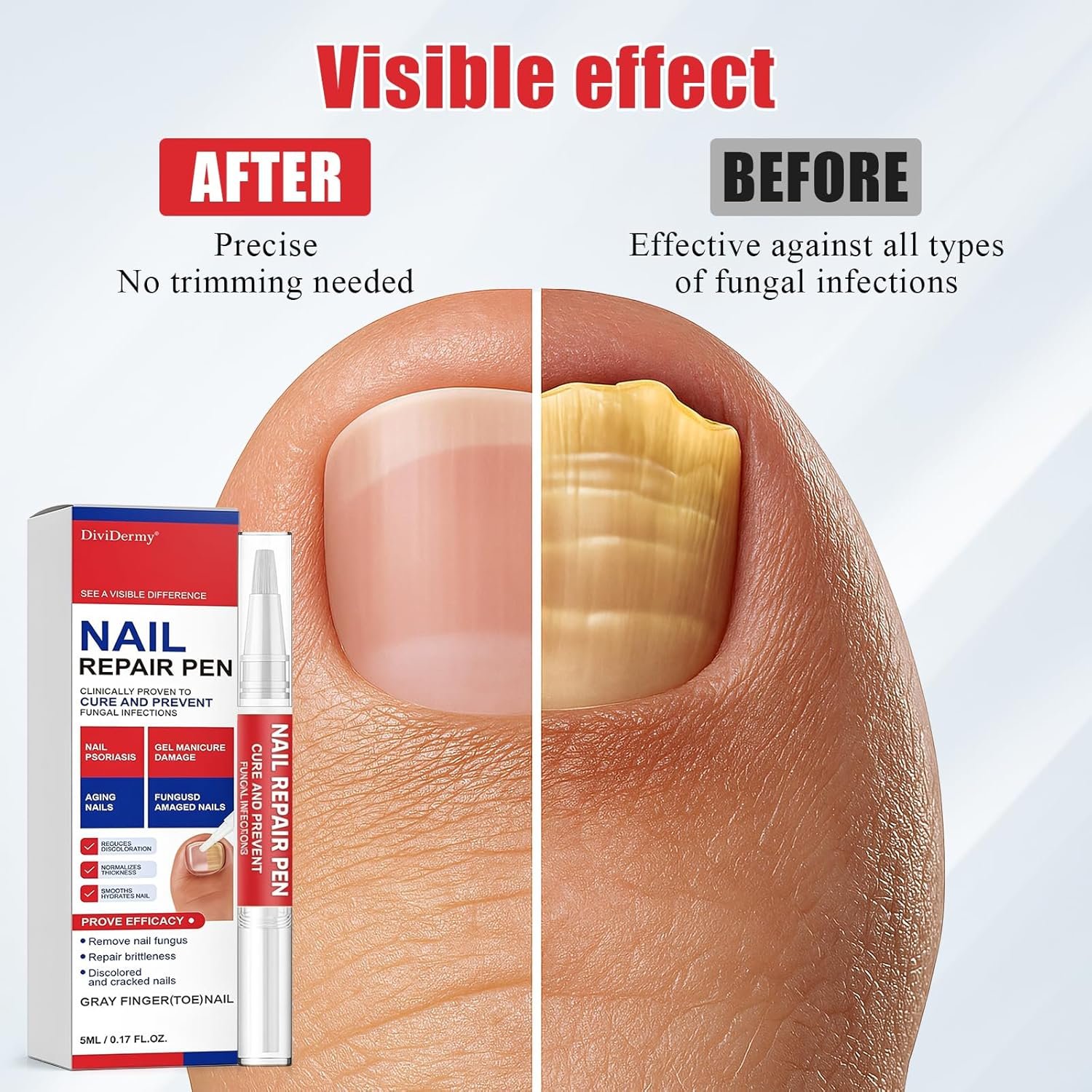 Galerie — image 5