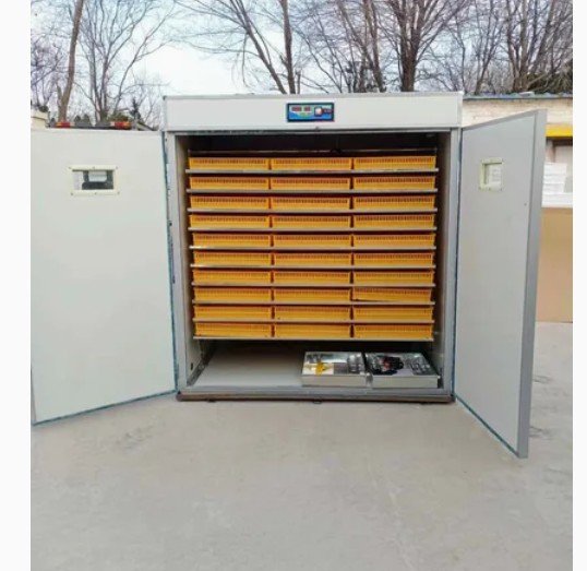 Machine à Couver des œufs de poulet 5000 Incubateur d'œufs