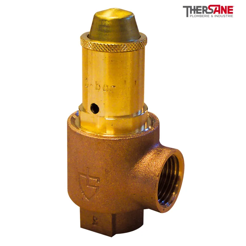 Soupapes de sécurité série G corps bronze 1/2¨f 3 bar